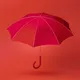 Umbrellas Only - old V2
