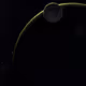 Unboxing Planets