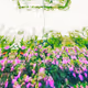 Uncategorized 1/1s - old