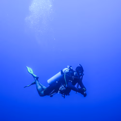 Under De Sea