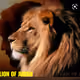 Under Gods Authority