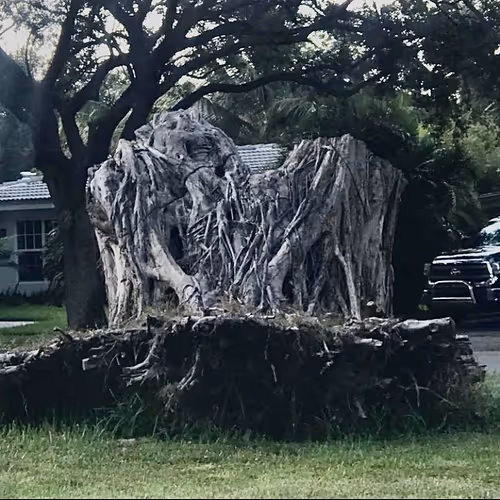 Underland was calling ,