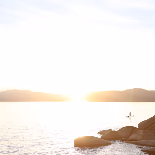 undervalued Overworked