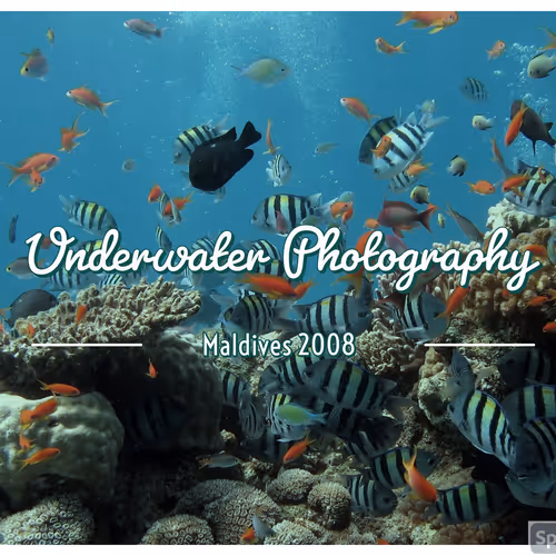 Underwater Photography V2