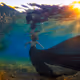 Underwater World