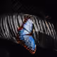 Unearthly Treasures - old
