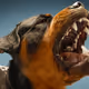 ungovernable dogs