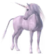 Unicorn-1981220_1280