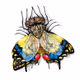 UnidentiFly - old