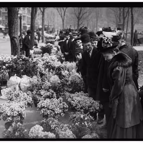 Union Square Floral District Spring 1900