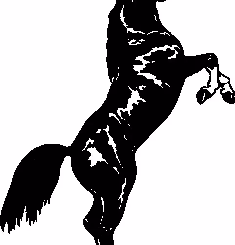 Unique black NFT collection