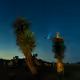 Unique Desert Moments