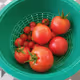 Tomates