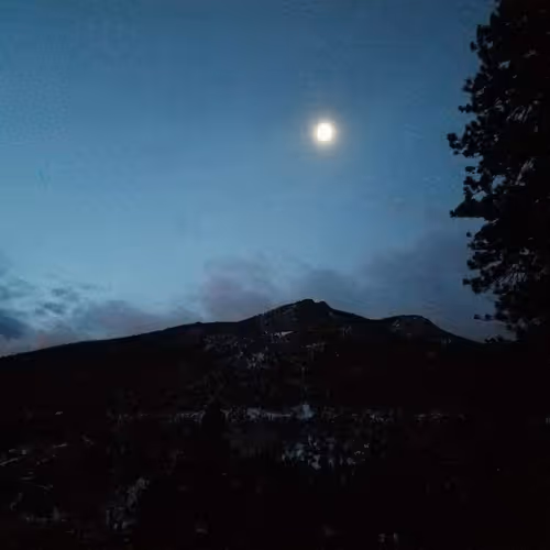 unity over singularity