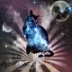 Universe during Pandemic