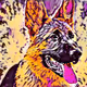 Universum of dogs
