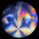 unsynthesized #423 by Sofia Crespo
