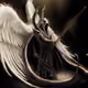 Untameab1e Ange1 Collection