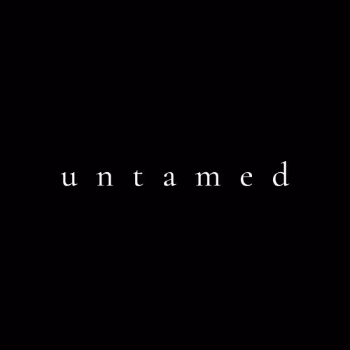 Untamed by Syed Kafeel Gillani - old
