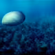 Unterwasser