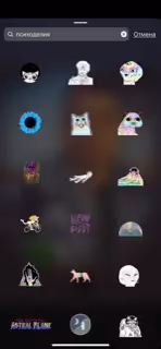 Untitled Collection #100186303