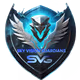 SKY VISION GUARDIANS