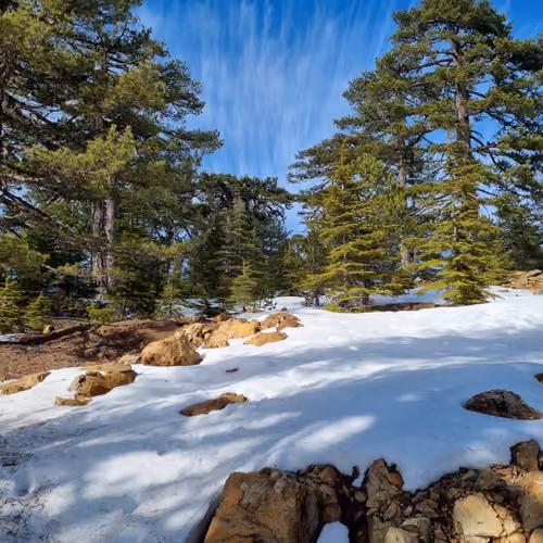 Bring Back Nature