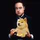 Dogefather Elon Musk