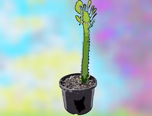 Happy Cactus Collection 01