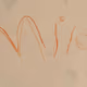 MILA'S VAULT