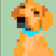 Rhodesian Ridgeback