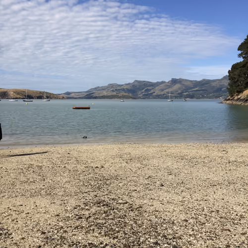 NZLScapes