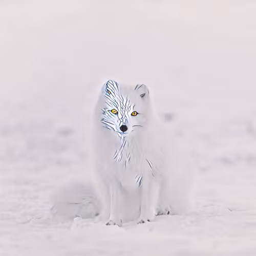 Anonymous Animals #111875457