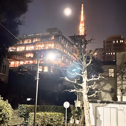 Tokyo in the photos