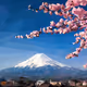LowPolyJapan