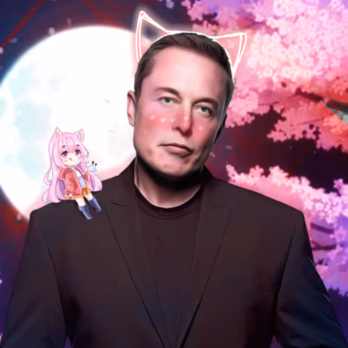 Catlon Musk Army of 69