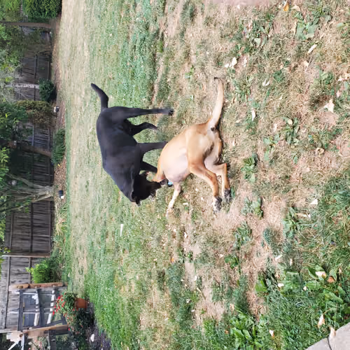 Normal Days Around the House