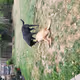 Normal Days Around the House
