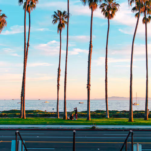 Santa Barbara Living NFT