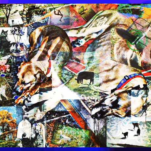 The Return of Collage