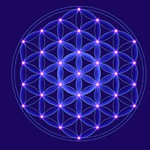 Livingrovedaloca collection 1