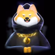 Mystic Shibe Collection