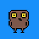 Crazy Owls Club