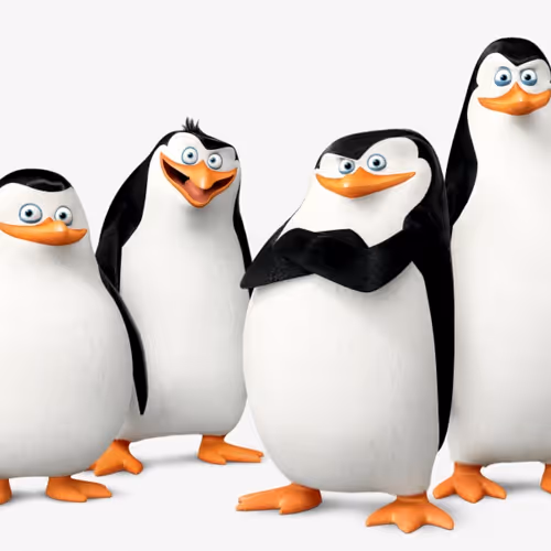 Cute and Wierd Boys Club