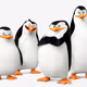 Cute and Wierd Boys Club