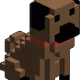 --Dogs collection--