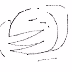 Item Media Placeholder