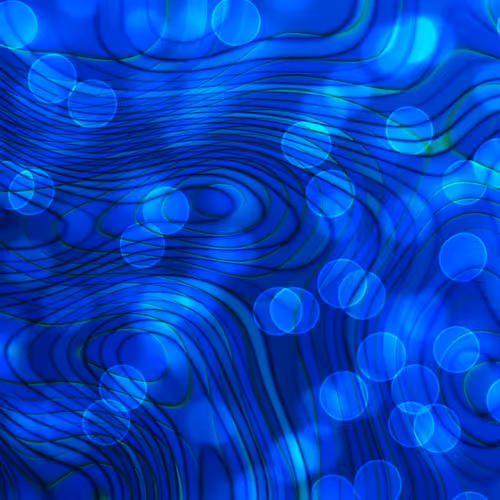 First Collection by SMT