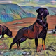Rotties&Animals&toons