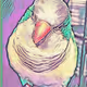 My Birdness Nfts